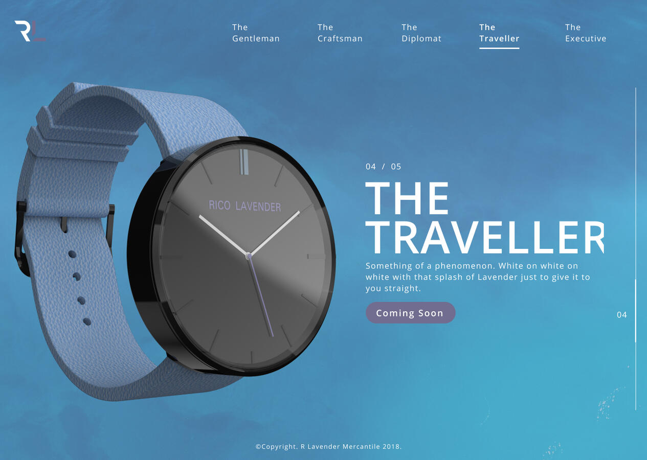 The Traveller
